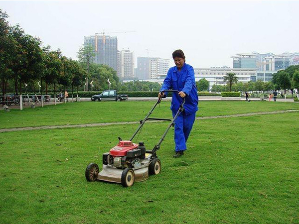 綠化養(yǎng)護(hù)